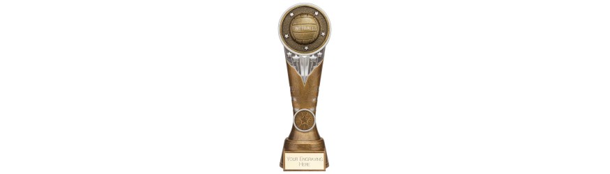 IKON NETBALL RESIN AWARD - 4 SIZES - 15CM TO 22.5CM IKON NETBALL RESIN AWARD - 4 SIZES - 15CM TO 22.5CM